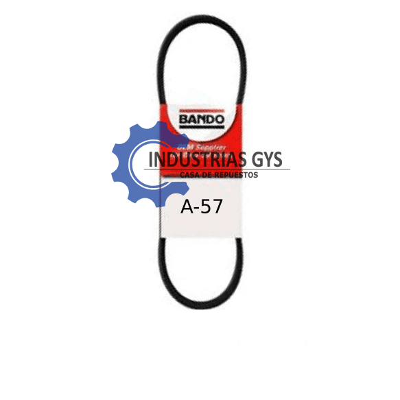 CORREA LIZA DE 1/2 X 57"