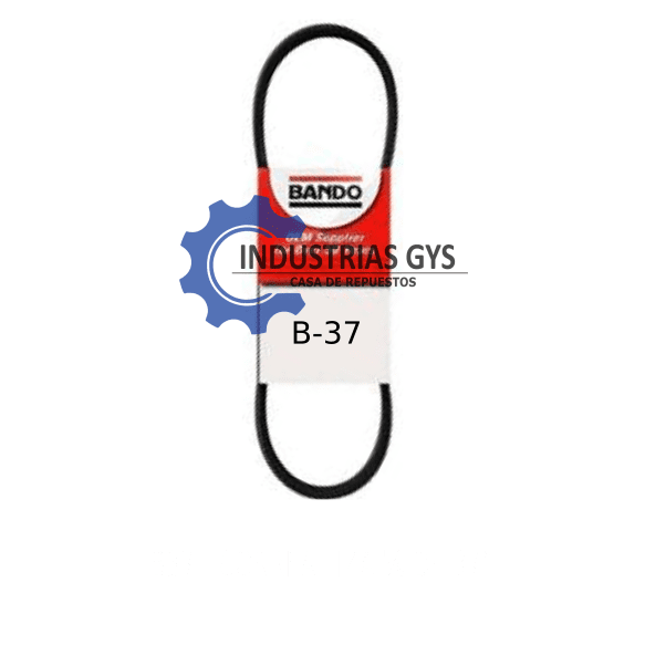CORREA LIZA DE 5/8 X 37"