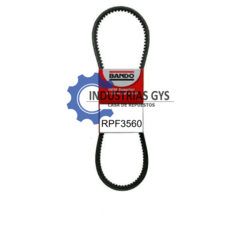CORREA DENTADA 1/2 AX-55 